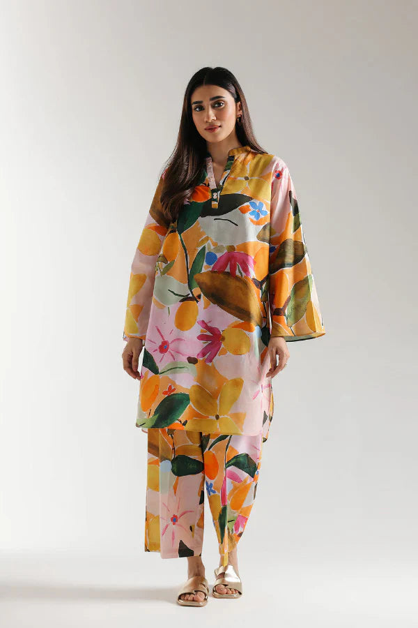 02 Piece Stitched Cotton Suit - Ready To Wear