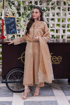 Embroidered Lawn 3 Piece Stitched Suit